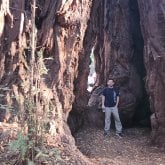 roko1984 chico soltero en Winchester