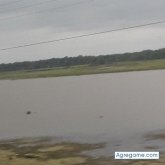 trinidadlopez chico soltero en Tacoma