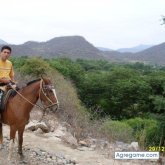 amigochevere foto #10