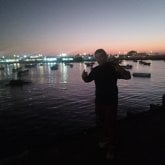 Gustavoalve