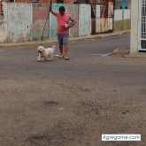 Chatear con Alejo9612 de Maracaibo