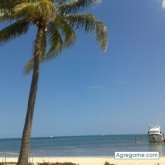 josephcach chico soltero en Chetumal