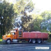 mata99 chico soltero en Pachuca De Soto