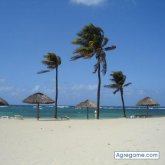 jpg1967 chico soltero en Aznalcazar