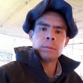 NikoLas1212