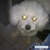 elnano foto #12