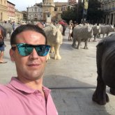 Titosilvestre chico soltero en Tudela