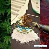 Chatear con thegeyderlokotherosa de Port Arthur