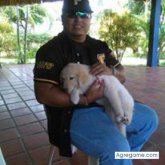 jervisrivero chico soltero en Casigua El Cubo