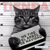 realesjj chico soltero en Marinilla