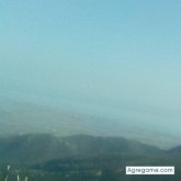 manager695 chico soltero en Deltebre