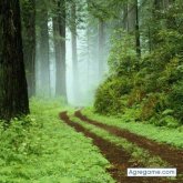 carloslorenzana chico soltero en Villa Nueva