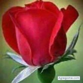 asminramosrodriguez chico soltero en Parque Lefevre