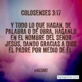 andresmambuca8000 foto #16