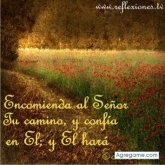 andresmambuca8000 foto #8