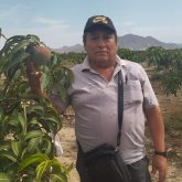 aquileszarsosa chico soltero en Trujillo