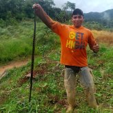 juliocolmenares64336