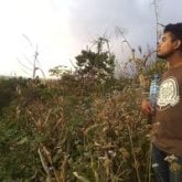 Busco pareja. Muy discreto y atento. La