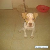 patriciacortes chica soltera en Cuernavaca