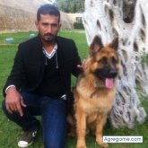 aadi1 chico soltero en 