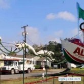 charly1607 chico soltero en Tampico