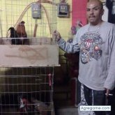 israelrosales9231 chico separado en Coral Springs