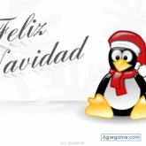 hectormedi87 foto #19