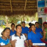 francobisueterdj foto #10