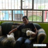 wilmar chico soltero en Pasto