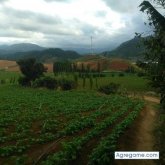 arielramirez2766 chico soltero en Constanza