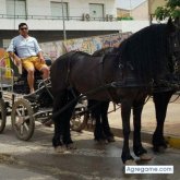 Foto de perfil de cesarhumerto