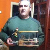 rufogarrido