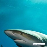 Jesus240193 chico soltero en Ciudad De México