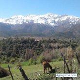 Rover827 chico soltero en Los Andes