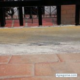 Cesarbarrero chico soltero en Tampa