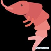 gregoricastro chico soltero en Montañita