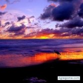 daviddelegas foto #15