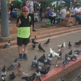 Conductor. Busco pareja. Gente alegre.