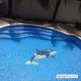 jesuspavon chico soltero en El Crucero