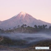 PEPEVER foto #11