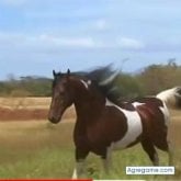 Comerciante. Busco ligar. Amigas.