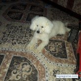 Chatear con ysraelbautista de Sabinas Hidalgo