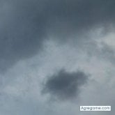 Foto de perfil de 1095820552vega