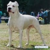 Foto de perfil de laeskina
