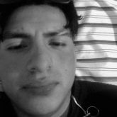 alexandersanchez8353