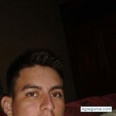 81573931