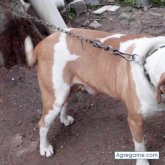 juanduaZ chico soltero en Montevideo