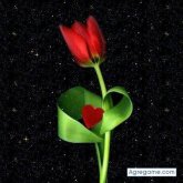 Varonrojo chico soltero en San Bartolome De La Torre