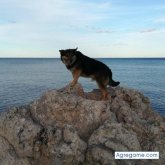 expediciones foto #7