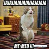 fernanditho1994 chico soltero en Camargo